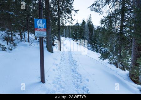 Lawinenwarnschild mit Lawinengefahr Stockfoto