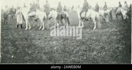 Sport und Wissenschaft an der Chinesisch-mongolischen Grenze. Eine Herde mongolischer Ponys. Untersuchen Von Zähnen von Wildem Pony. Die Rennen beobachten, gegenüber S. 166.] Stockfoto