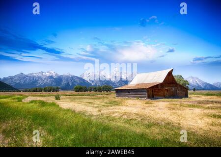 Ikonische Stall T. A. Moulton und Teton Peaks im Grand Teton National Park, WY Stockfoto