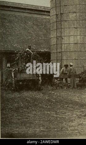 Katalog des Hampton Normal & Agricultural Institute in Hampton, Virginia, für das akademische Jahr .. . Stockfoto