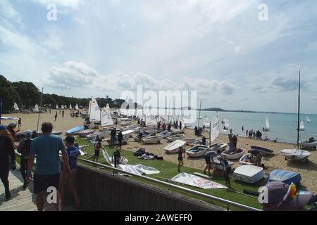 Unter 18-jährige Konkurrenten am Strand und im Wasser bei der Jinghy Segeln Junior Sail Auckland Regatta 2020, Kohimarama Yacht Club, Auckland, NZ Stockfoto