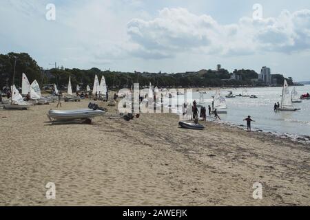 Unter 18-jährige Konkurrenten am Strand und im Wasser bei der Jinghy Segeln Junior Sail Auckland Regatta 2020, Kohimarama Yacht Club, Auckland, NZ Stockfoto