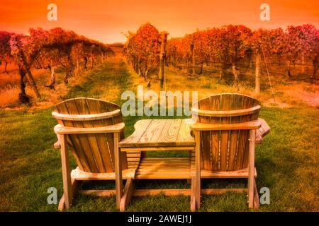 Adirondack-Holzstühle mit Blick auf den Weinberg bei Sonnenuntergang, von Der Weinregion Long Island aus gesehen Stockfoto