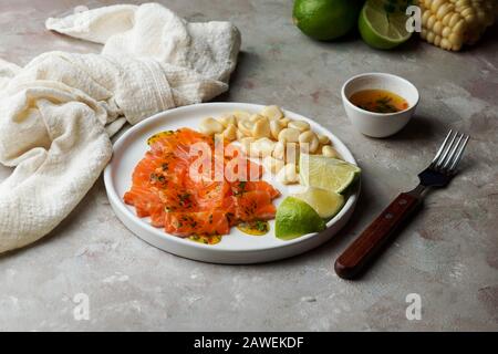 Tiradito de Lachs - peruanisches Gericht mit rohem Fisch, Carpaccio Stockfoto