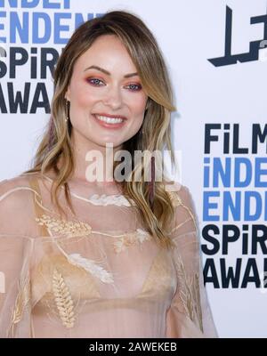 Santa Monica, USA. Februar 2020. Santa MONICA, KALIFORNIEN - 8. FEBRUAR: Olivia Wilde nimmt am Film Independent Spirit Award 2020 am 08. Februar 2020 in Santa Monica, Kalifornien, an. Foto: Crash/imageSPACE Credit: Imagespace/Alamy Live News Stockfoto