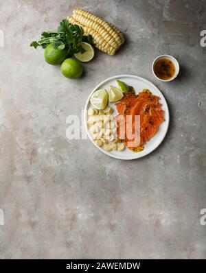 Tiradito de Lachs - peruanisches Gericht mit rohem Fisch, Carpaccio Stockfoto