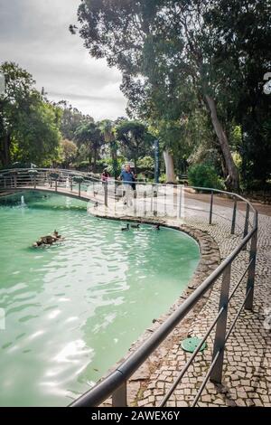 Parque Marechal Carmona ist ein familienfreundlicher öffentlicher Park in Cascais mit Enten Schildkröten in einem Teich sowie Gärten und Cafés Stockfoto