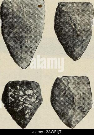 Ohio archäologische und historische vierteljährliche . Abb. 94. Pfeilpunkte, Bestattungen, Mound Nr. 23. Die Tendenz zur Winkelung der Klingenränder ist verymarked, eine Eigenheit, die ziemlich konstant ist. Thematerial, aus dem die Punkte abgeplatzt werden, scheint der schwarze und braune Feuerstein des Ohio River Distrikts zu sein. ABSTREIFER AUS KNOCHEN ABB. 95 illustriert einen perfekten Schaber aus dem Schläfenknochen des Hirsches, einem teilweise fertigen Schaber und dem unbearbeiteten Knochen, aus dem diese Art von Einlage gemacht wurde. Die drei Exemplare stammen aus Burialsin-Mound 23. Der Metapodial Knochenkratzer wurde bisher auf 580 eingestellt Stockfoto