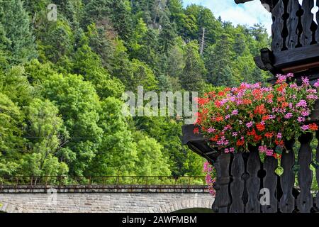 Leuchtend roter und rosafarbener Geranium Blumenkasten am Haubengeländer im Schwarzwald Deutschland Stockfoto