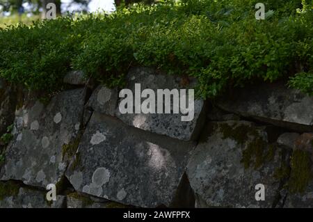 alte Steinmauer mit Moos Stockfoto