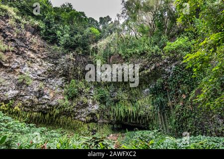 Kamokila Village, Kauai, Hawaii, USA. - 16. Januar 2020: Fern Grotte versteckt durch grünen Schwertfarn, Bäume und Pflanzen unten an der grauen Felsklippe. Silv Stockfoto