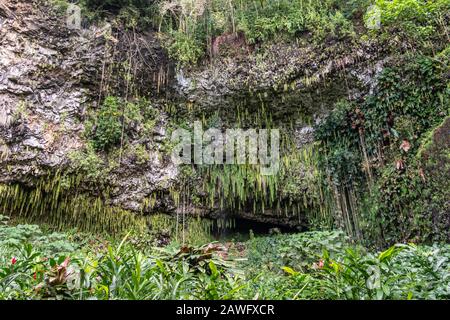 Kamokila Village, Kauai, Hawaii, USA. - 16. Januar 2020: Fern Grotte versteckt durch grünen Schwertfarn, Bäume und Pflanzen unten an der grauen Felsklippe. Stockfoto