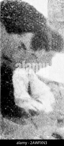 Die Universität in Overalls; ein Plädoyer für ein Teilzeitstudium . die Notwendigkeit wird bestimmt. Ich nehme mir die Freiheit, der Unversehrtenzu suggerieren, dass das Problem des Lehrermangels auf vier Arten gelöst werden kann: 1. Sorgen Sie dafür, dass Sie an jedem Ort besonders mürrische Kurse anregen. 2. Verleihen Sie allen Studienabschlüssen in Kunst, Theologie, Musik und Wissenschaft, die in der Lage sind, den gewünschten Prüfungskandidaten zu vermitteln, wo oder wie sie ihre Hartwunderausbildung und ihr Wissen erlangen. 3. Niemandem einen körperlich passenden Abschluss gewähren, der während seiner Ausbildung mindestens zwei Jahre im Teilzeitunterricht verbracht hat, Stockfoto