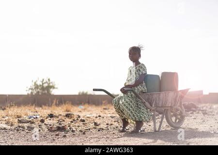 Wunderschönes afrikanisches Juvenile, Das Frisches Wasser in einer natürlichen Umgebung Sammelt Stockfoto