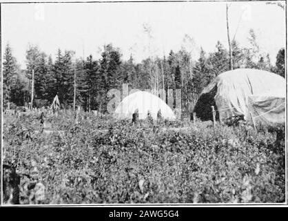 Die Universität in Overalls; ein Plädoyer für ein Teilzeitstudium . Eine Straßengang in den Clay Belt-Good-Buschraden sind ein Haupthindernmittel in der frühen Begleichung. Klare ganze Townships - Kleine Freispiele werden die Sommerfröste nicht überwinden. (Seite 60.) Grenzbereinigung und Arbeitslosigkeit 61 abgeschnitten von jeglicher Kommunikation mit der Außenwelt?was soll sie dazu bewegen, die Not dieser einsamen Orte zu ertragen? Sie würden sich ohne medizinischen oder Postdienst verhalten und könnten verhungern, Freizeiter zu Tode verbrennen. Wenn sie diese Monate zusammen mit anderen Familien und Co-operat im Lager der Gemeinschaft verbringen könnten Stockfoto