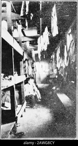 Die Universität in Overalls; ein Plädoyer für ein Teilzeitstudium . , als Schutz für die Männer, gegen die zähllosen Fliegen und Stechmücken, die durch den thelivelong Sommer vorhanden sind, und wenn auch nur um sofort wieder zu gehen, werden sie oft mit einem Fluch beiseite gebürstet. Dies hat zumindest den Krieg dazu geführt, dass Tausende von Lagermännern unterrichtet wurden. Es ist eine sichere Behauptung, dass nur sehr wenige Kanadier die Schulden, die dieses Land den Männern im Camp schuldet, wieder aufleben lassen.Die Werke von Autoren wie Doktor Drummond, StewartEdward White und Ralph Connor haben einen Glamour in den CER-tain um das Leben des Holzfällers und des Flussfahrers geworfen, aber des Kommerci Stockfoto