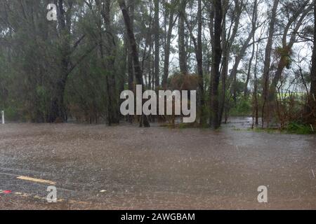 Palm Beach, Sydney, 9. Februar 2020. Starke Regenfälle und starke Winde führen zu Überschwemmungen auf der Barrenjoey Road, Sydney,.Australia Credit:martin Beere/Alamy live News. Stockfoto