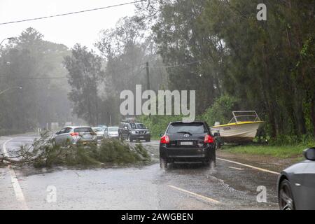 Palm Beach, Sydney, 9. Februar 2020. Starke Regenfälle und starke Winde bringen Bäume über Sydney,.Australia Credit:martin Beere/Alamy live News. Stockfoto