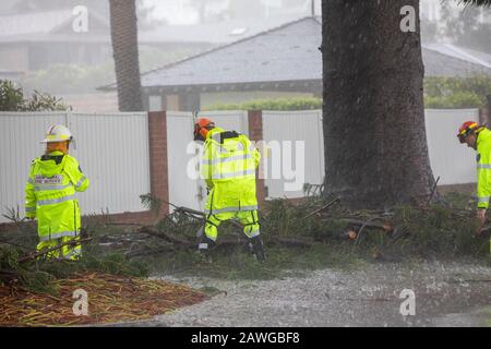 Palm Beach, Sydney, 9. Februar 2020. Lokale Feuerwehr entfernt umgestürzten Baum. In Palm Beach, Sydney, Australien Kredit: martin Beere/Alamy live News. Stockfoto