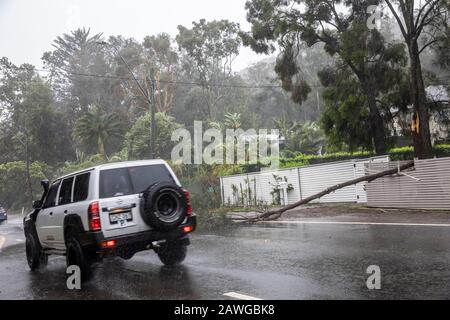 Palm Beach, Sydney, 9. Februar 2020. Starke Winde und starker Regen bringen Bäume auf den Autobahnen in Sydney, Australien, herunter. Nissan Patrol 4WD fährt durch starken Regen Credit: martin Beere/Alamy Live News. Stockfoto