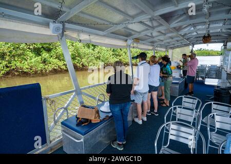 Touristen auf der Krokodilspotting-Kreuzfahrt auf dem Johnstone River, North Queensland Stockfoto