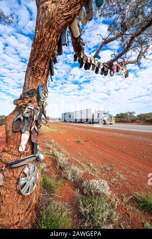 Sattelauflieger, der Great Northern Highway führt und einen Tangbaum in der Nähe von Paynes Find, Western Australia passiert Stockfoto