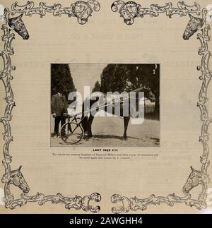 Züchter und Sportler . VOLUMEN LVI. Nr. 8. SAN FRANCISCO, SAMSTAG, 19. FEBRUAR 1910. Abonnement - 3,00 Pro Jahr. Der ZÜCHTER UND SPORTLER [Samstag, 19. Februar 1910. Fred H. CHASE & CO. S THIRD ANNUAL Pleasanton Auction Sale I OF TROTTING STOCKS FINDET Donnerstag, 3. März 1910 statt, Beginnend um 9:45 a.m., Sharp. Die Größte und Erwürdigste Sammlung von Trottpferden, Die Jemals bei Auction in Kalifornien angeboten wurde. 100 Vertreter der Führenden Stake-Winning- und Modischen Trotting-Familien in Amerika - 100 Bestehend aus modisch gezüchteten Hengsten, Colts, Geldings, Mares und Fillies von Suc Stockfoto