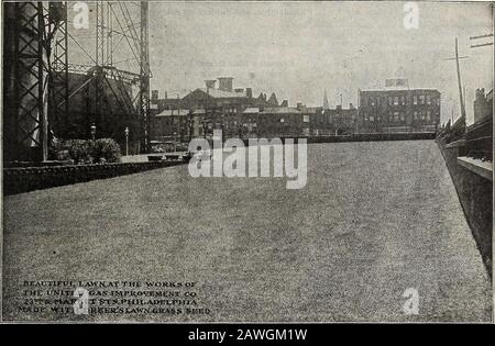 Dreer's 72. Jahreausgabe Gartenbuch : 1910 . 45. Unsere speziellen Marken von Rasen-Grass-Saatgut sind für ihre Anpassungsfähigkeit an verschiedene Situationen und Bodenbedingungen bekannt. Dies ist in der Abbildung oben deutlich dargestellt und zeigt den schönen Rasen bei den Gaswerken der United Gas ImprovementCompany, Der Dreiundzwanzigsten Straße und Der Market Street in Philadelphia. Dieser Rasen, obwohl er in unmittelbarer Nähe zu einer Reihe von Großregalen steht und von Geschäftsplätzen, Lagerhäusern usw. umgeben ist, ist so schön ein Rasenstück, wie es unter den günstigsten Bedingungen produziert werden könnte, und eine Probe dessen, was Dreers Lawn Grass S zu nennen hat Stockfoto
