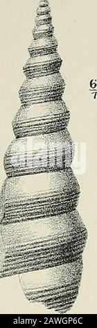 Die Vierteljahreszeitschrift der Geological Society of London. ^ Stockfoto