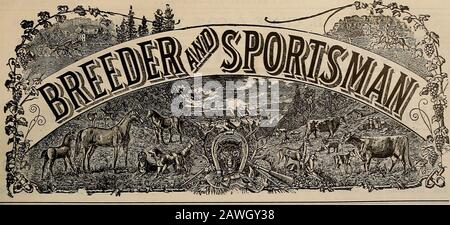 Züchter und Sportler . Im Marsh oder Field erhalten Selby Loads die Limit Bags.Fragen Sie den Shooter, Wer WEISS! Selby SCHMELZEN & LEAD CO., San Francisco, Cal. Für Result-Advertise im Züchter und Sportler. VOLUMEN LVI. Nr. 7. SAN FRANCISCO, SAMSTAG, 12. FEBRUAR 1910. Abonnement: 3,00 Usd Pro Jahr. Stockfoto