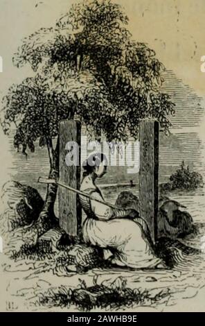 Messéniennen, et Chants populaires . LA K DE JEANNE DARC. -€ C * i"- N jour que rOcéau gonflé par latempête,Réunissant les eaux de ses fleuves divers, {) LA VI K Fier de tout envahi i, niarehait h la conquête De ce vaste univers;Une voix séleva du milieu des orages, fot Dieu, de dace dudtant in unvisible, étont tont. " Mourez sur ces rivages, " Vous nirez pas plus loin. " Ainsi, cpiand tourmentés dujie impnissante rageLes soldats de Redford , grossis par leurs succès.Menaçaient dnn prochain naufrageLe royanme et le nom français;Une femme, arrêtant ces bandes formidables, Se mont Stockfoto