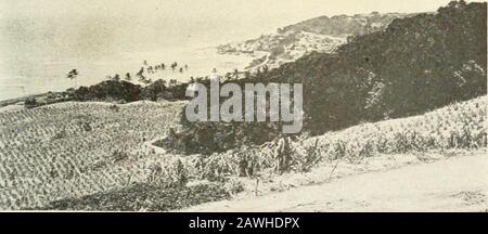 Gewürz- und Palmeninseln. Trafalgar-Platz. Bridgetown --te. Martins Bay an der Windwakd (Hafer IN LITTLE ENGLAND und Vorräte in Bridgetown, während von allen tlieneighlboring Inseln Schiffe kommen, um witKgoods auf Barbados zu laden. Es gibt nur wenige überfüllte Städte mit Bustling als Bridgetown und dur-ing Geschäftszeiten. Es ist eine echte Bienenhaufen-Aktivität, Eile und Hektik. Die Careenage ist mit kleinen Dampfern und Segelfahrzeugen ausgestattet; an ihren Anlegestellen in der Straße schwingen Schiffe, Barks, Schoner und Dampfer vor Anker; Lichter legen sich stetig hin und her; süße Banden von Schwarzen und mächtigem Maultier Stockfoto