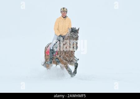 Im Winter bei starkem Schneefall ausfahrend, färbt sich weihnachten goldroter Silber Stockfoto