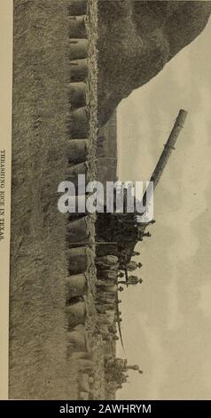 Die Feuerwehr-Hochschule für moderne Erfindung, Entdeckung, Industrie und Kunst für Hauszirkel Studium und Unterhaltung . Gluten, wie auf dem Markt verkauft? Es ist der Maisrückstand nach den Keimen und der Stärke Havegon daraus. Es wird in nasse Kuchen gepresst, getrocknet, pulverisiert und für Viehfutter zu einem guten Preis verkauft. Es handelt sich um eine graue oder gelbliche Grobmahlzeit oder Mehl. Wird Rye auch für Brot verwendet? Ja, immer mehr, da die Europäer nach Amerika eingewandert sind. Roggen bildet die große Ernte Russlands, über 700.000.000Scheffel werden in einem Jahr geerntet. Der Roggenlob ist sehr denseund feucht. Es ist süß und wächst nicht Stockfoto