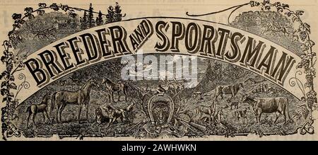 Züchter und Sportler . Im Marsh oder Field erhalten Selby Loads die Limit Bags.Fragen Sie den Shooter, Wer WEISS! Selby SCHMELZEN & LEAD CO., San Francisco, Cal. -?. VOLUMEN LVI. Nr. 4. SAN FRANCISCO, SAMSTAG, 22. JANUAR 1910. Abonnement - 3,00 Pro Jahr. Stockfoto