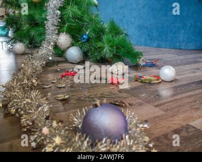 Zerbrochenes Weihnachtsbauchen in der Nähe eines umgestürzten Weihnachtsbaums auf dem Boden Stockfoto