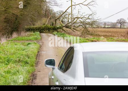 Large Tree, 09/02/2020, Morning, Grub Street, Howe Norfolk UK. Von Storm Ciara auf Stromleitungen geblasen Stockfoto