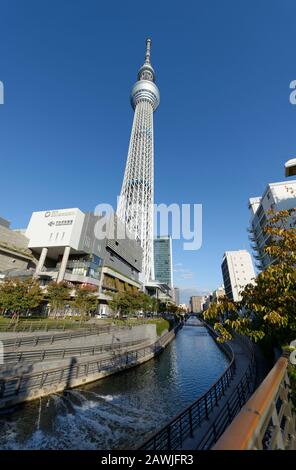 Tokio, Japan: 14. November 2019: Skytree Tower aus Sensoji Temple, Japan. Stockfoto