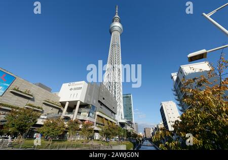 Tokio, Japan: 14. November 2019: Skytree Tower aus Sensoji Temple, Japan. Stockfoto