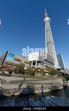 Tokio, Japan: 14. November 2019: Skytree Tower aus Sensoji Temple, Japan. Stockfoto