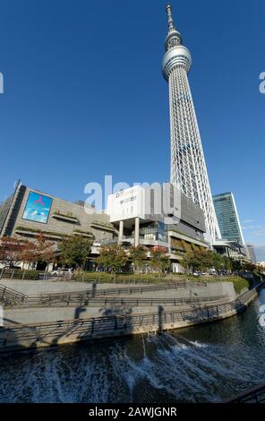 Tokio, Japan: 14. November 2019: Skytree Tower aus Sensoji Temple, Japan. Stockfoto