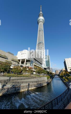 Tokio, Japan: 14. November 2019: Skytree Tower aus Sensoji Temple, Japan. Stockfoto