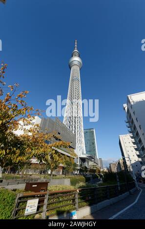 Tokio, Japan: 14. November 2019: Skytree Tower aus Sensoji Temple, Japan. Stockfoto