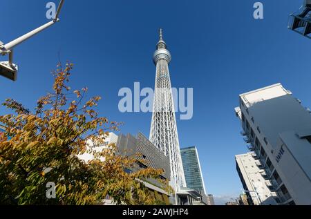 Tokio, Japan: 14. November 2019: Skytree Tower aus Sensoji Temple, Japan. Stockfoto