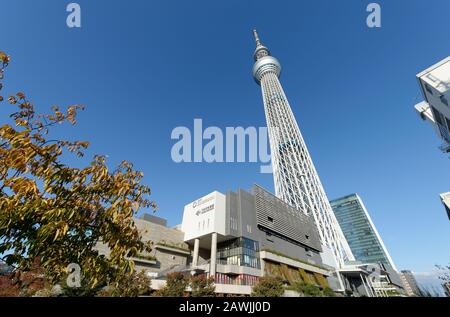 Tokio, Japan: 14. November 2019: Skytree Tower aus Sensoji Temple, Japan. Stockfoto