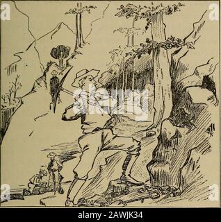 Die Goldfelder der Klondike; Fortune Suchers' Guide to the Yukon Region of Alaska and British America; . u-Taries of that stream. Die Bonanza und ihre Zuflüsse, insbesondere der El Dorado, sind bekanntermaßen von Überpasslichkeit. Schätzungen, die auf einzelne Behauptungen von Theirownern gestellt wurden, wurden gegeben und es wurden viel greifbare Beweise angeboten, aber die Aussagen von William Ogiivie, dem Dominion Surveyor, der für die Grenzvermessung zuständig ist, sind, wenn überhaupt, noch verblüffender. In einem offiziellen Bericht von DawsonCity über den Stadtteil sagt er: Das Ausmaß des Gold tragenden Abschnitts hier ist so Stockfoto