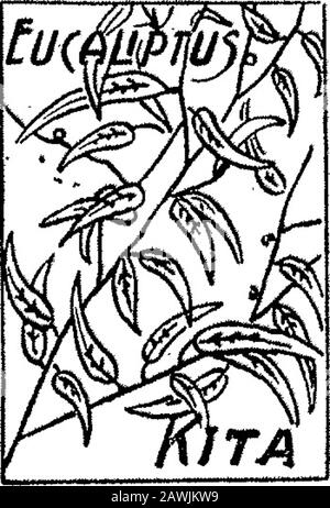 Boletín Oficial de la República Argentina-01 ra sección. Stockfoto