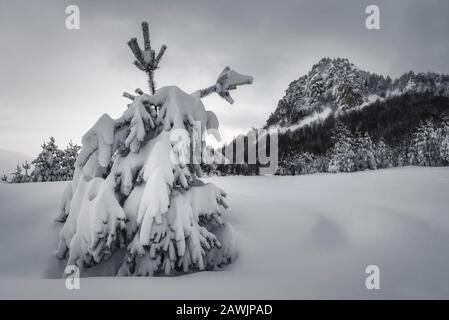Winterlandschaft, die am Morgen durch Sonnenlicht geglüht wird. Dramatische winterliche Szene. Rhodopen-Berg, Bulgarien, Europa. Beauty-Welt. Stockfoto