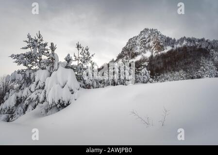 Winterlandschaft, die am Morgen durch Sonnenlicht geglüht wird. Dramatische winterliche Szene. Rhodopen-Berg, Bulgarien, Europa. Beauty-Welt. Stockfoto