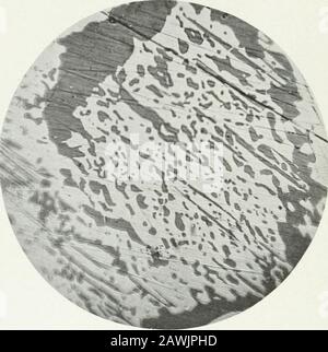 Bulletin . .1 (A) Photomikrograph eines polierten Erzabschnitts aus Cornfield Prospect Nr. 2.Zeigt Chalkozit mit zwei verschiedenen Farbtönen, einen mit zarten Schluffgrau und den anderen normal. Der bläulich graue Chalcocit ist in grafischem intergrowthwith Bornit, das auf den Aufnahmen als unregelmäßige Bereiche, als Minutedots und in länglichen stangenartigen Formen zeigt. Die beiden Ehalcocites sind auf dem Foto nicht klar voneinander unterschieden, aber durch das Auge leicht zu unterscheiden. Die Identität der Herkunft solcher Strukturen ist nicht unansehnlich, aber der Autor glaubt, dass die Mineralien Depo waren Stockfoto